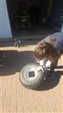 Remove tyre and place on ground